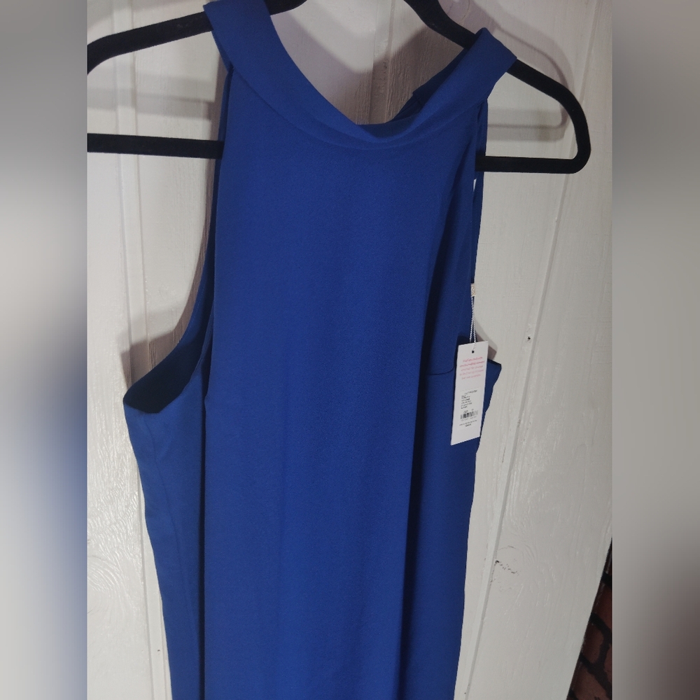 Lilly Pulitzer Cobalt Blue Sleeveless Maxi Dress - Picture 5 of 10